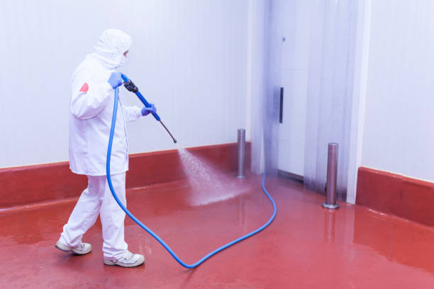 Best Graffiti Removal  in Inglis, FL