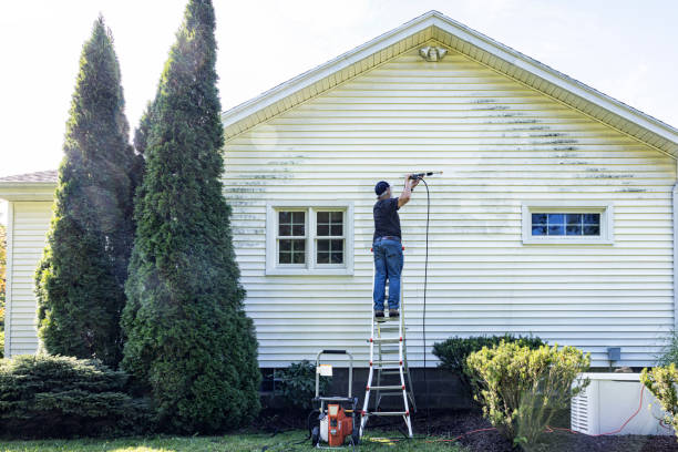 Best Spring Cleaning  in Inglis, FL