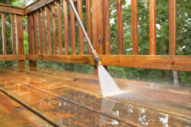 Best Driveway Pressure Washing  in Inglis, FL